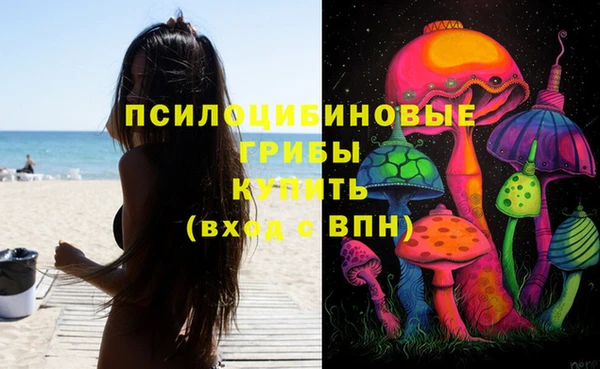 спайс Алексин