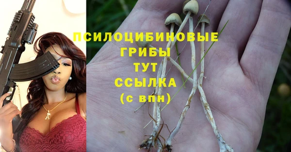 метадон Алексеевка