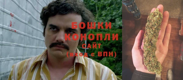 спайс Алексин