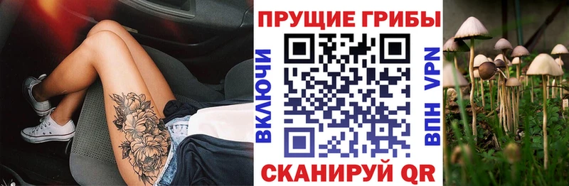 Галлюциногенные грибы Cubensis darknet состав Чебоксары KRAKEN зеркало